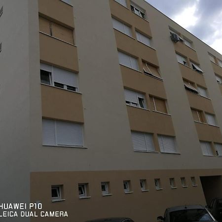 Apartment Mihaela Zadar Buitenkant foto