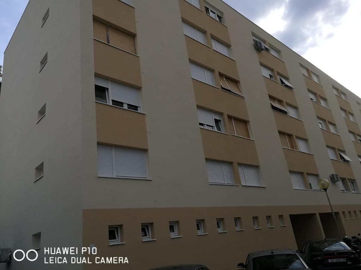 Apartment Mihaela Zadar Buitenkant foto