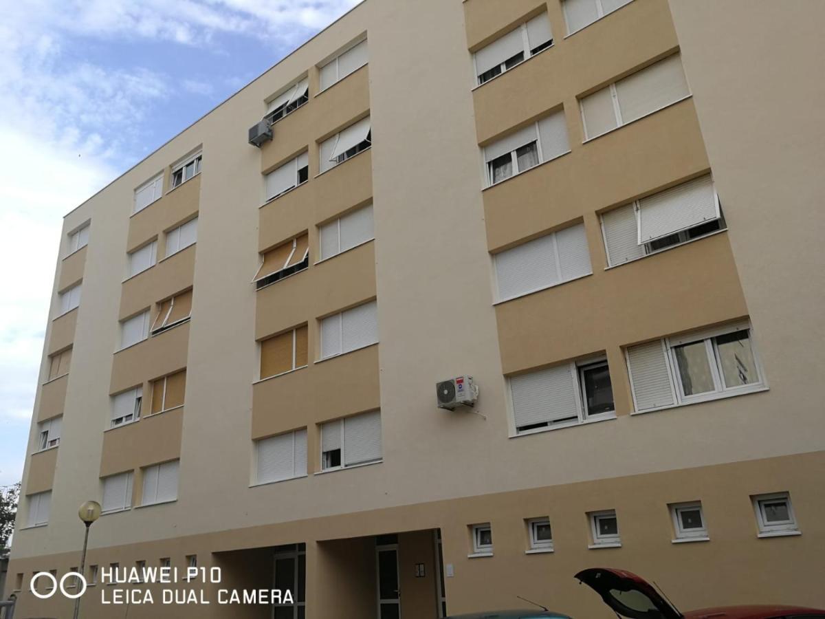 Apartment Mihaela Zadar Buitenkant foto